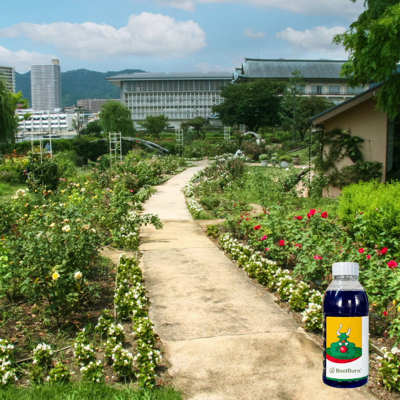 Enjoy a cleaner, weed free garden again!