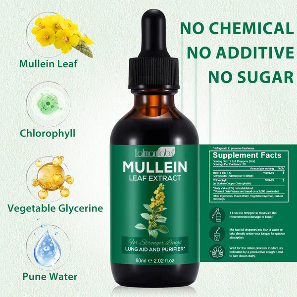 Mullein Leaf Extract