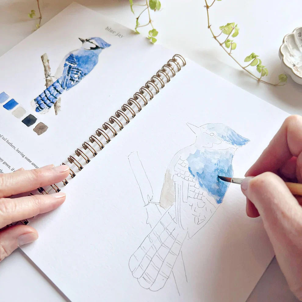 watercolor workbook