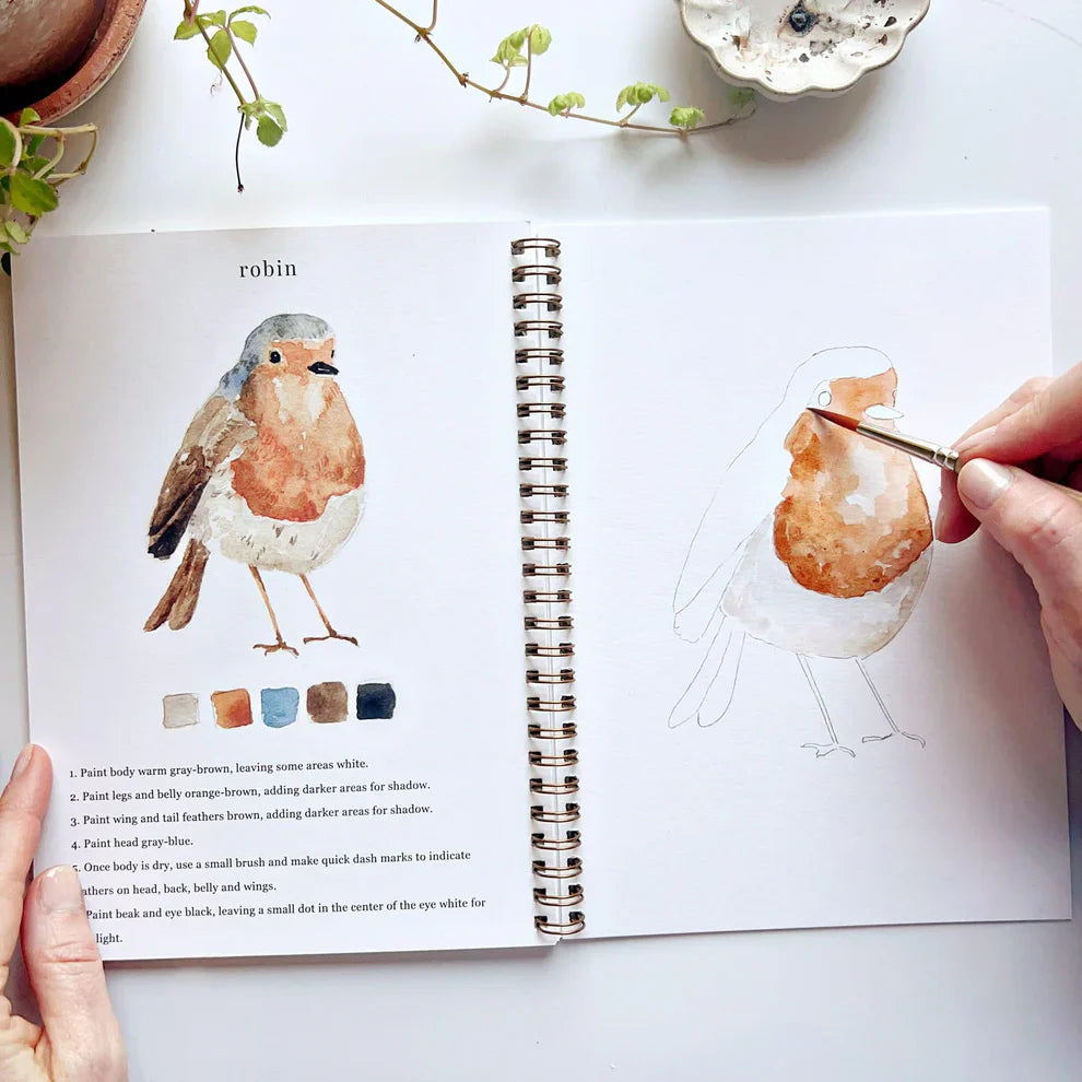 birds