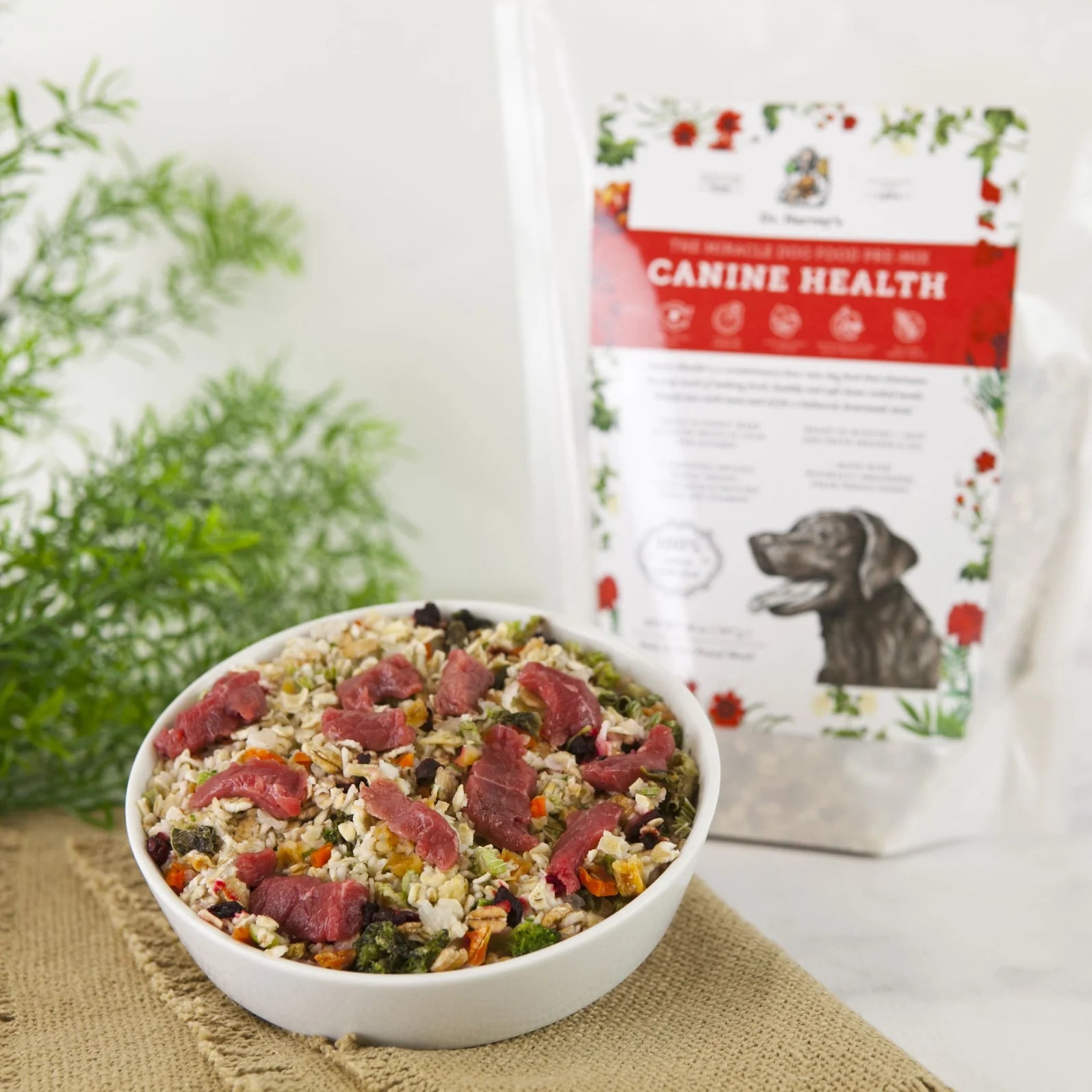 Homemade Dog Food Made Easy