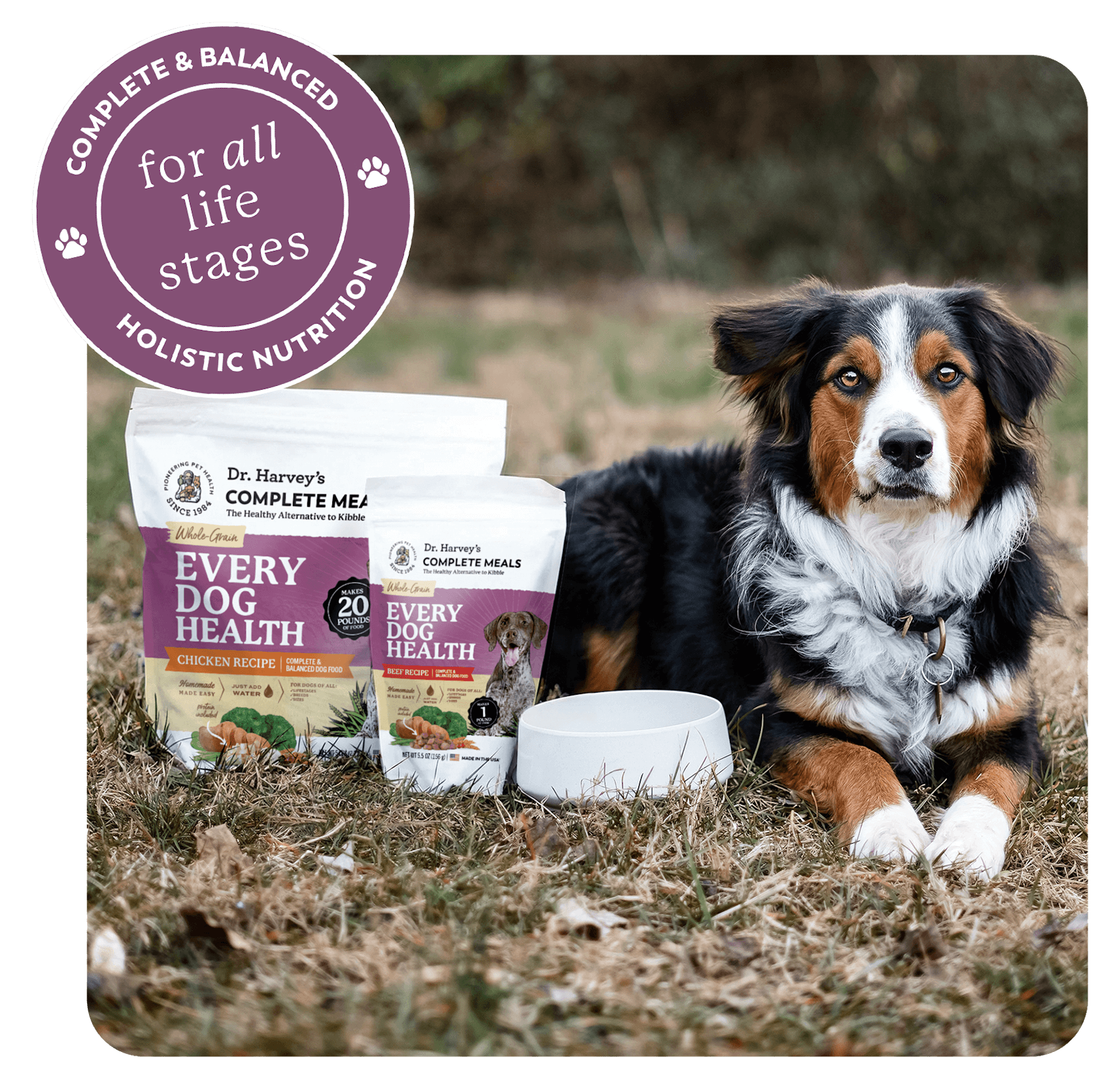 One Recipe for Your Dog's Entire Journey
