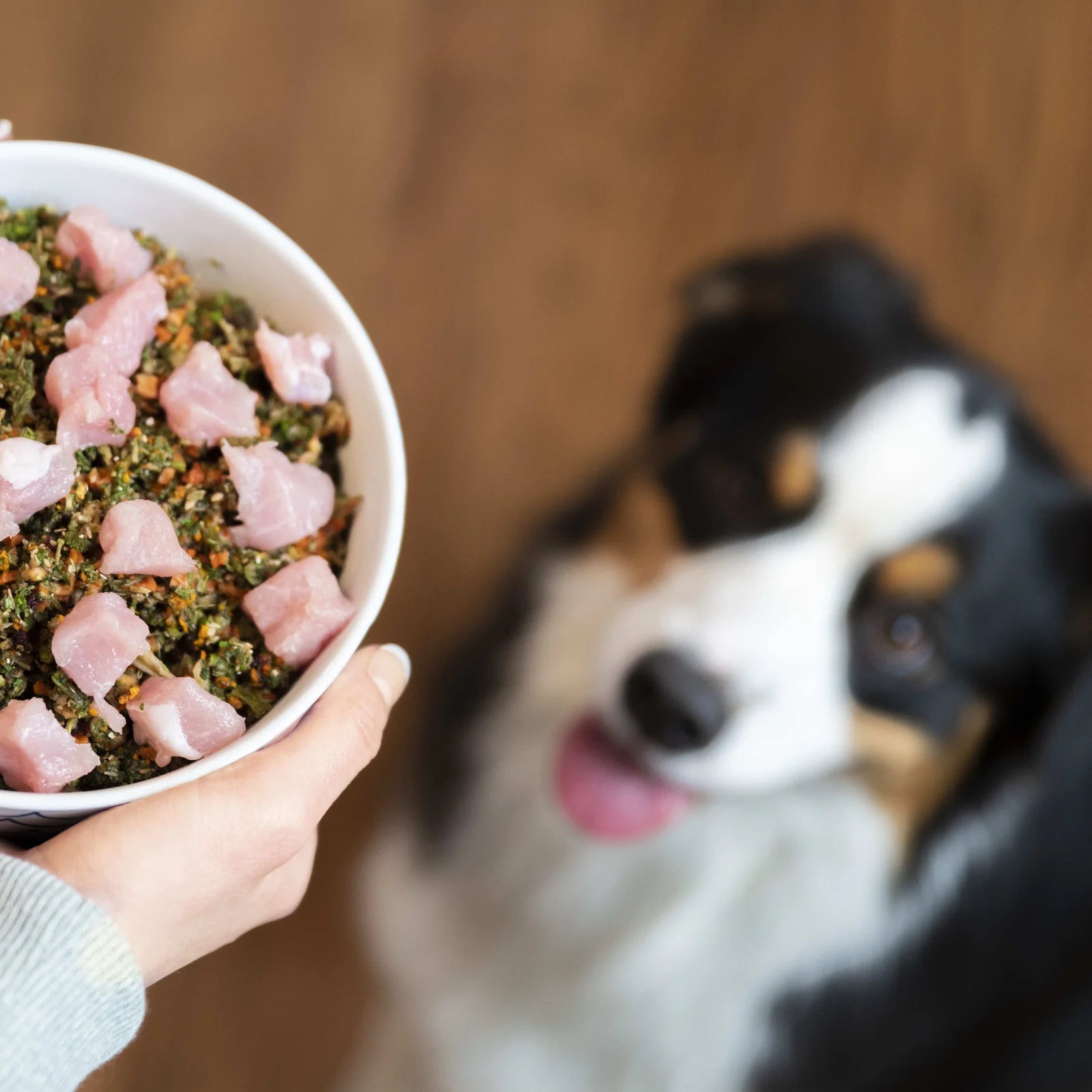 The Challenge of Preparing a Raw Food Diet